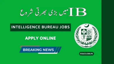 IB Jobs 2025: Latest Intelligence Bureau Jobs