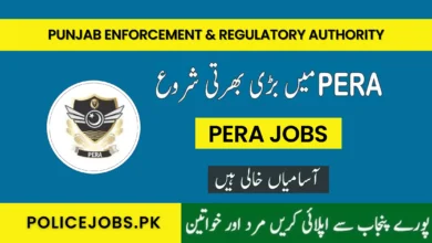 PERA Jobs 2025 Online Apply Last Date