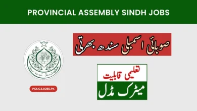 Provincial Assembly of Sindh Jobs 2025 PTS Jobs