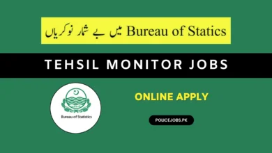 Tehsil Monitor Jobs 2025 Online Apply