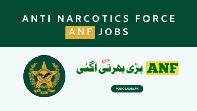Anti Narcotics Force ANF Jobs 2025